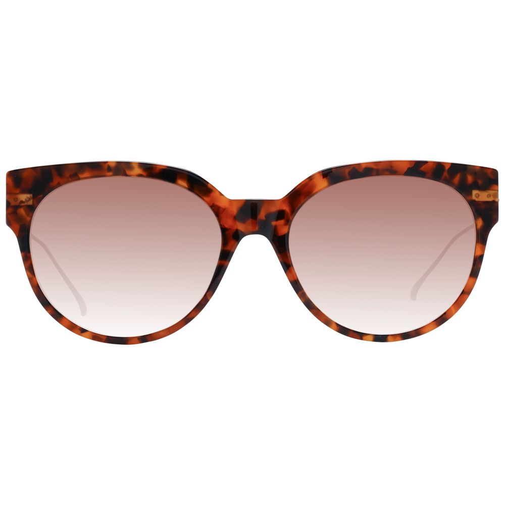 Brown Acetate Sunglasses
