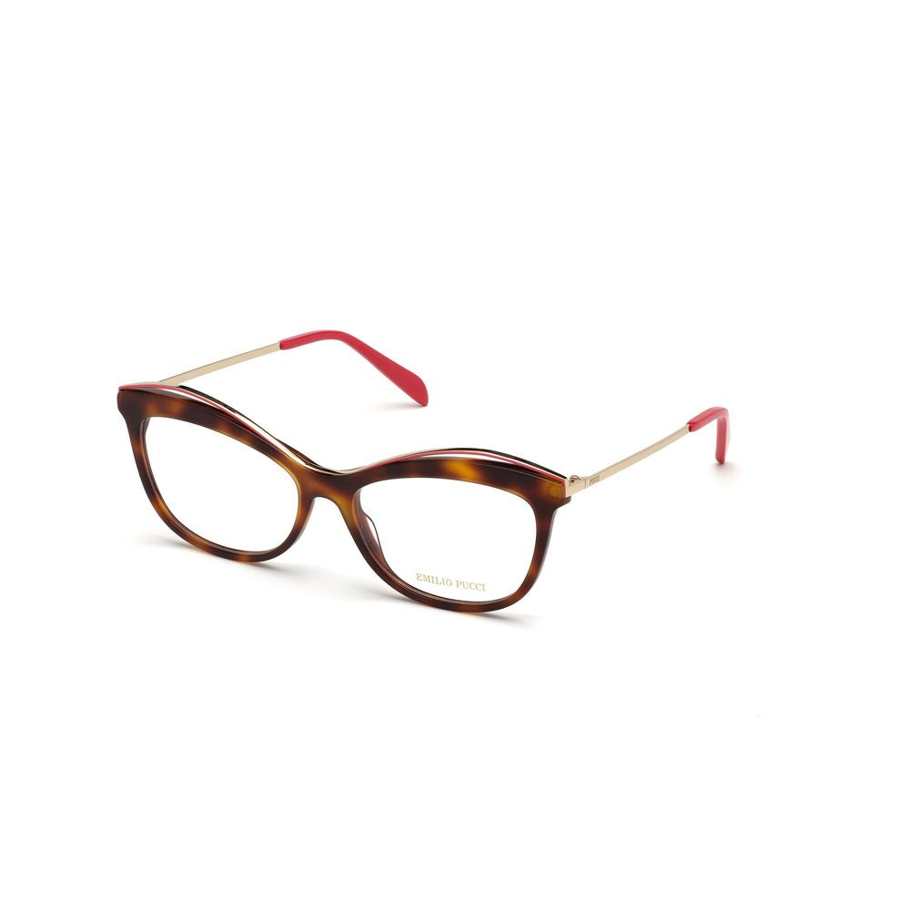 Brown Acetate Frames