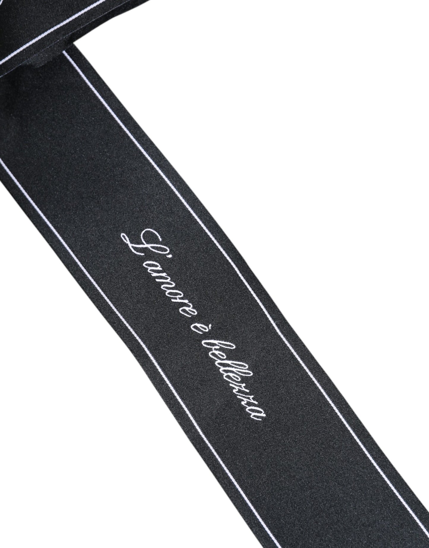 Black Waist Ribbon Wide Bow Logo Belt