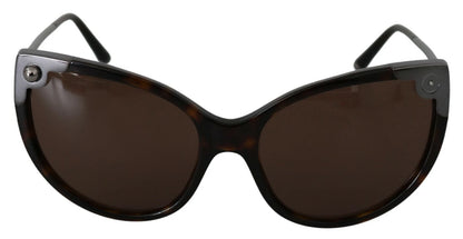 DG4337 Dark Havana Cat Eye Women Eyewear Sunglasses