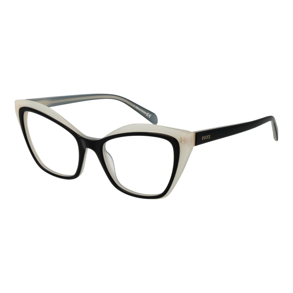 Black Plastic Glasses (Frames)