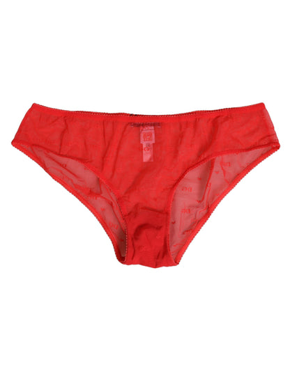 Red Nylon Sheer Mesh Lace Brief Panty Underwear
