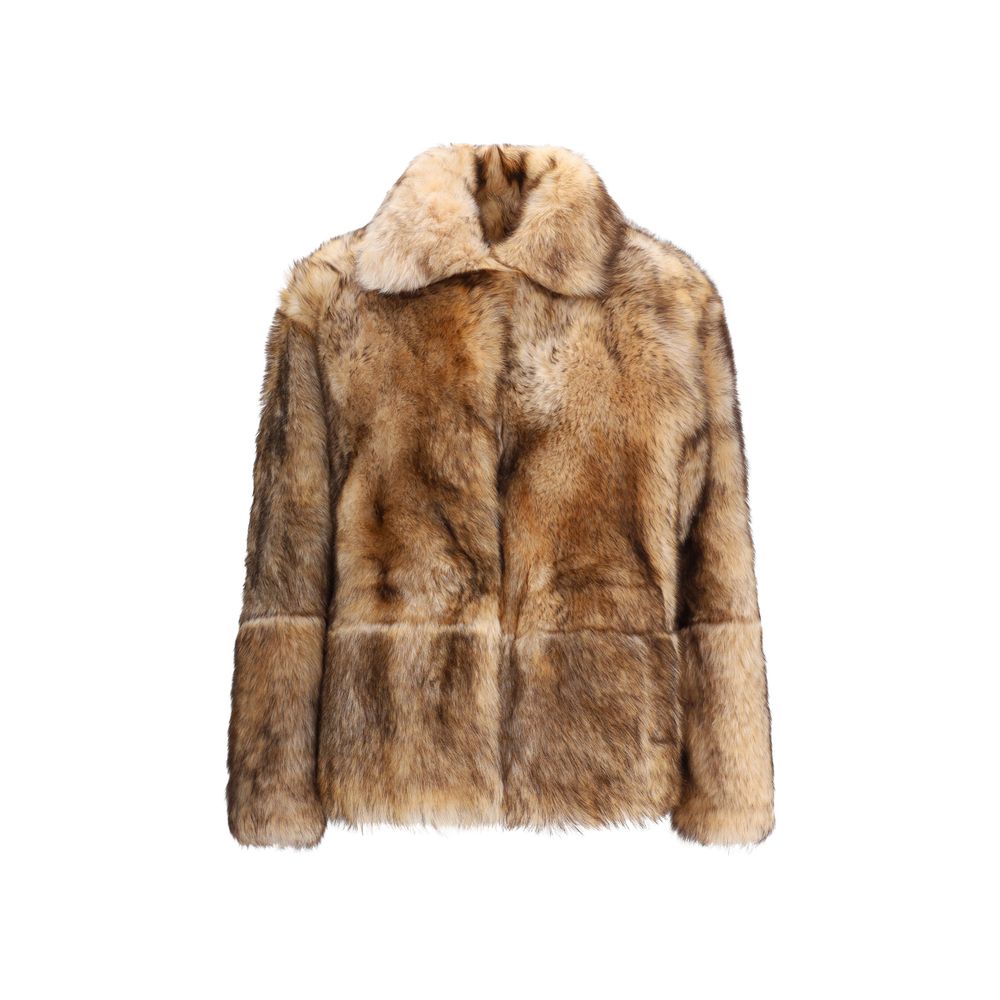 Cream Lamb Ovis Aries Aries Coat