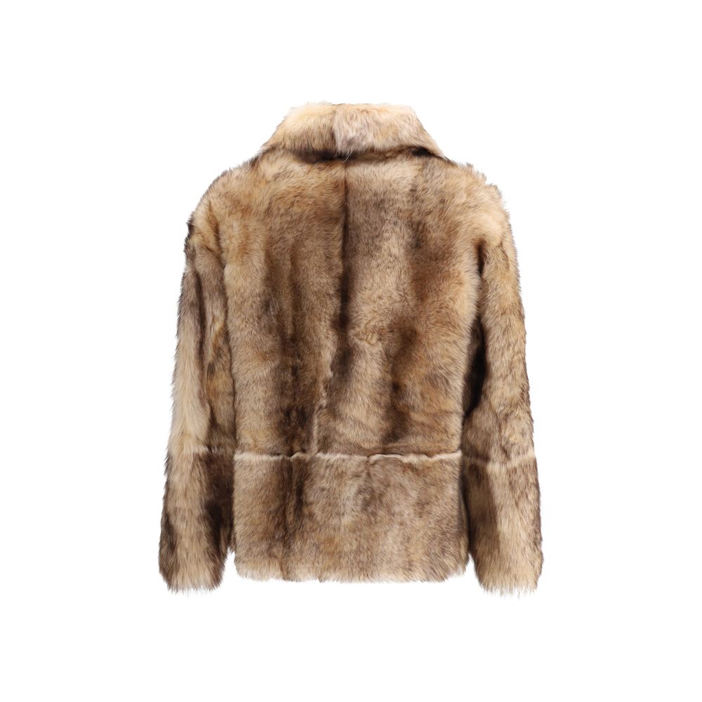 Cream Lamb Ovis Aries Aries Coat